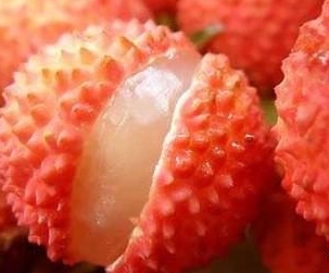 51免费看片APP下载荔枝